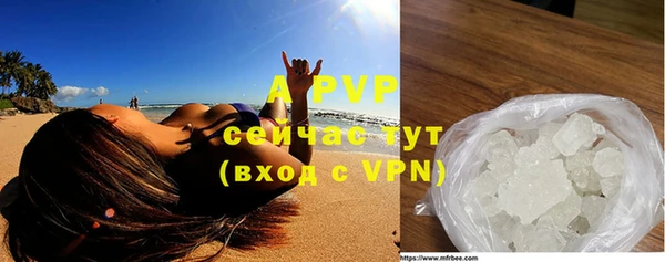 шишки Семикаракорск