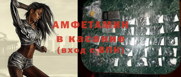 ГАЛЛЮЦИНОГЕННЫЕ ГРИБЫ Алзамай