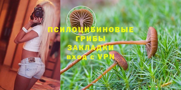 бутират Алексин