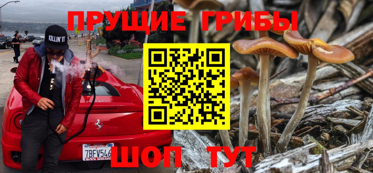 Псилоцибиновые грибы Magic Shrooms Канаш