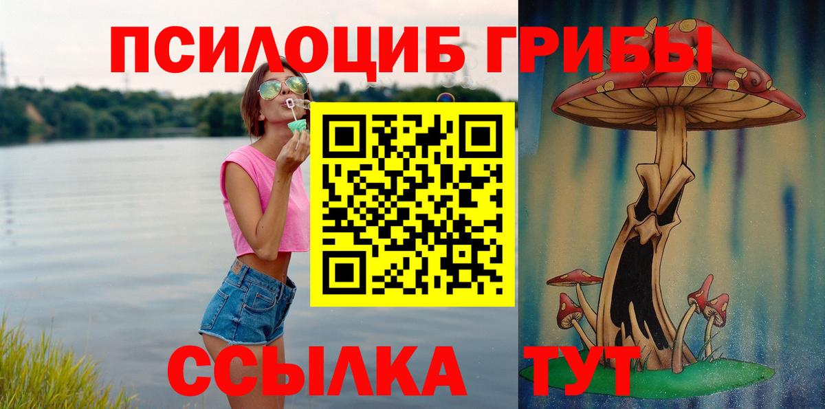 Псилоцибиновые грибы Cubensis  Вход с VPN  как найти наркотики  Канаш 